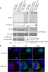 FIG 4