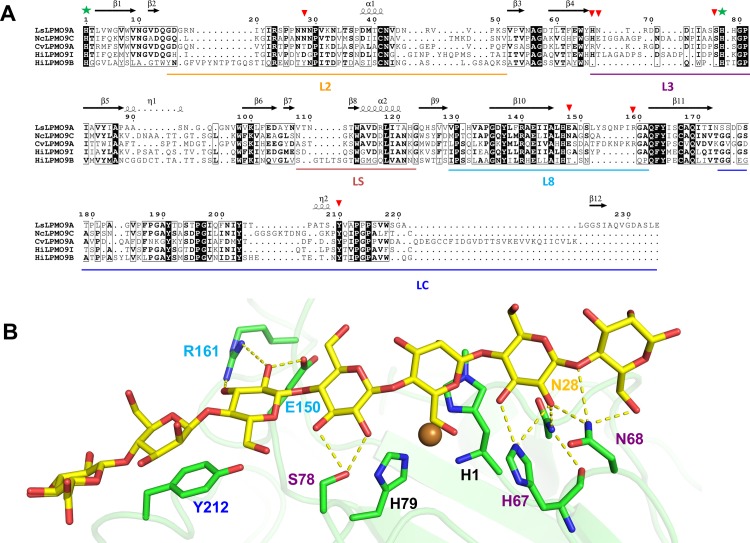 Fig 6