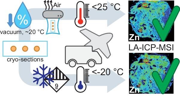 Graphical Abstract