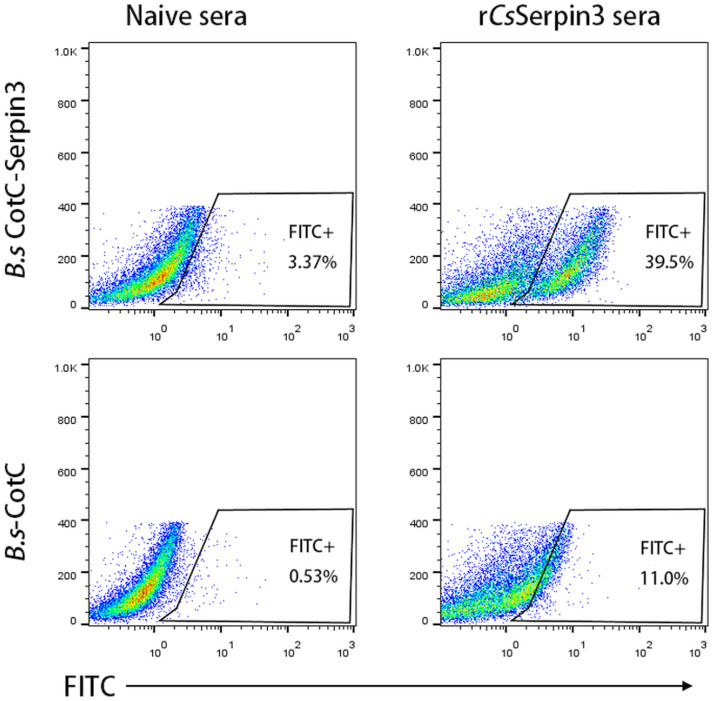 Fig. 3.