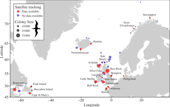 All 54 Northern Gannet Morus bassanus colonies with circles proportional to colony size.