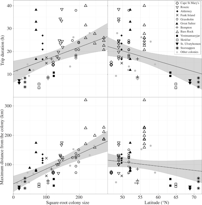 Annual mean foraging trip duration and maximum distance from the colony for 21 Northern Gannet Morus bassanus colonies in relation to colony size and latitude.