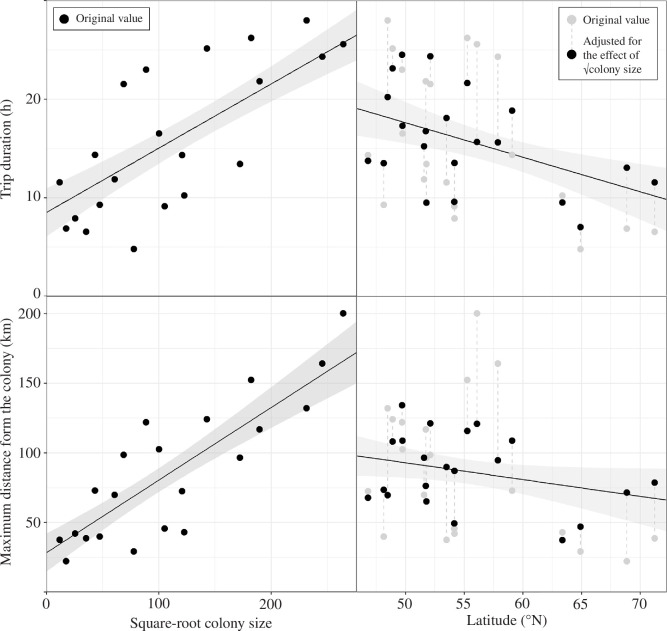 Mean foraging trip duration and maximum distance from the colony for 21 Northern Gannet Morus bassanus colonies in relation to colony size and latitude.