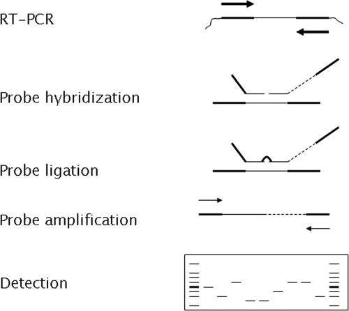 FIG. 1.