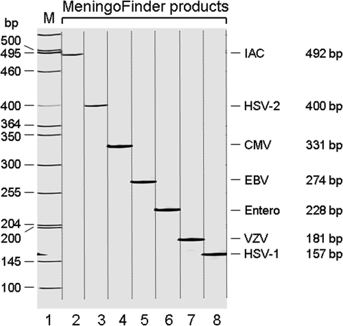 FIG. 2.