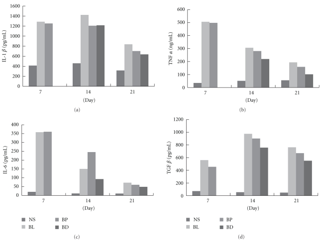 Figure 5