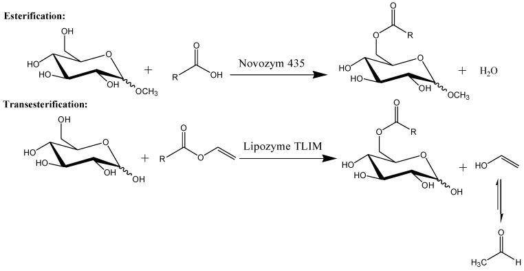 Scheme 1