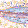 Fig. 4.