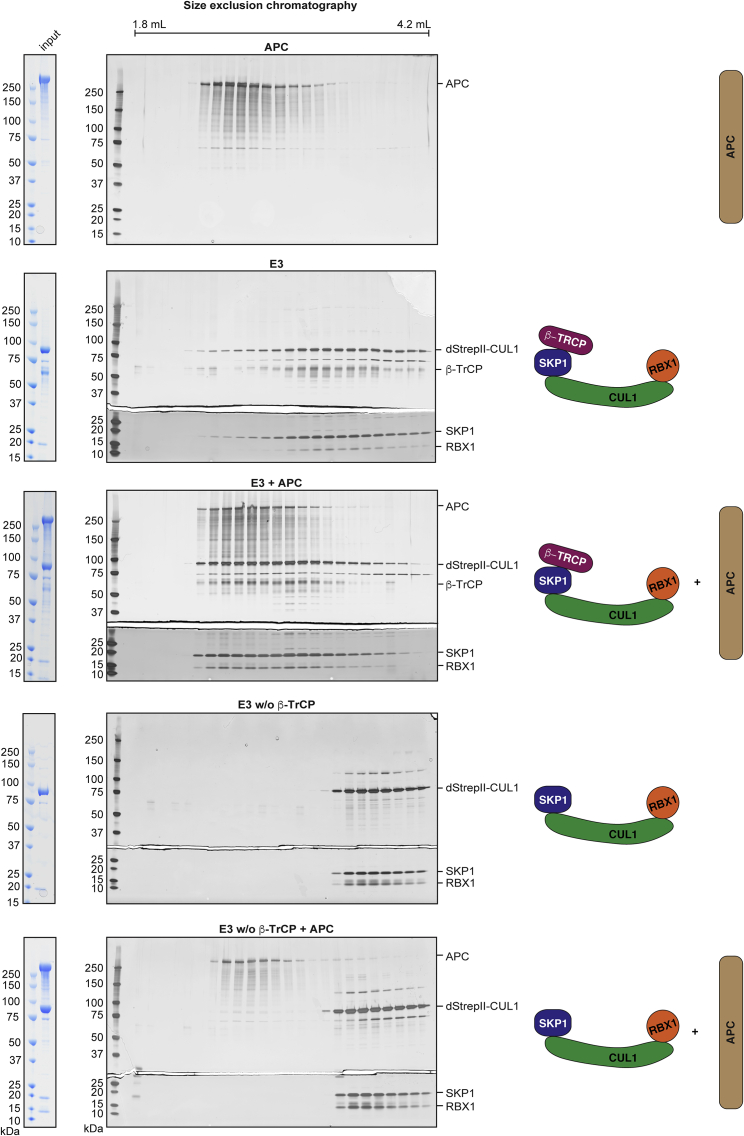 Figure 6