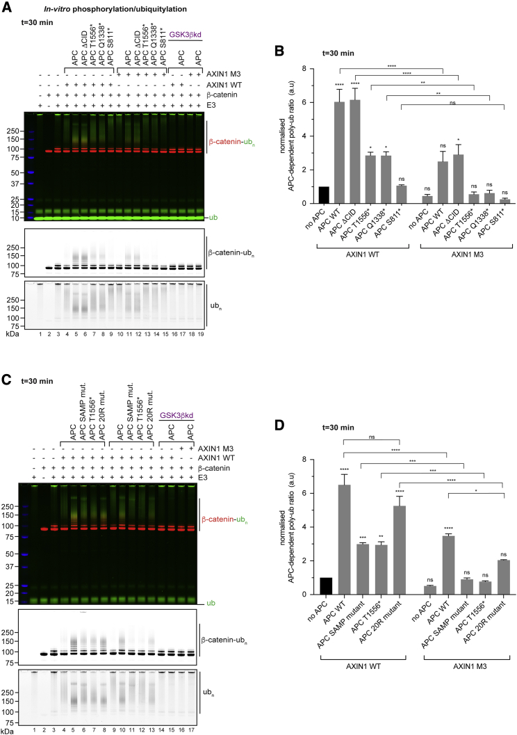 Figure 4