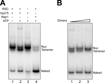 FIG. 9.