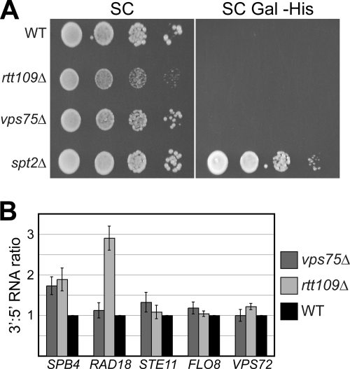 FIG. 7.