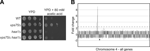 FIG. 5.