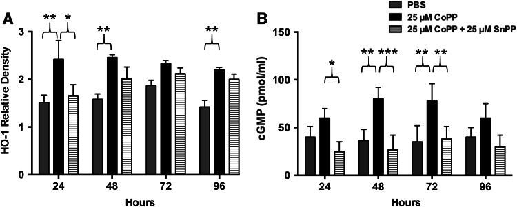 Fig. 1A–B