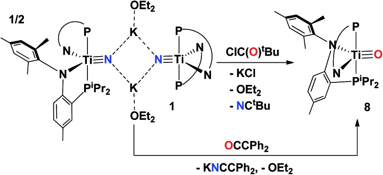 Scheme 3