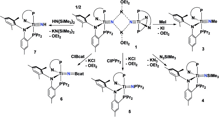 Scheme 2