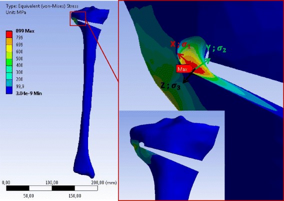 Fig. 12