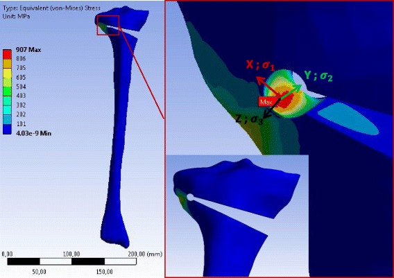 Fig. 11