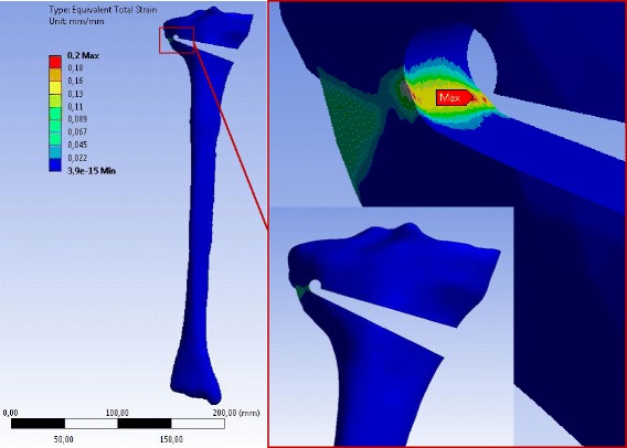 Fig. 18