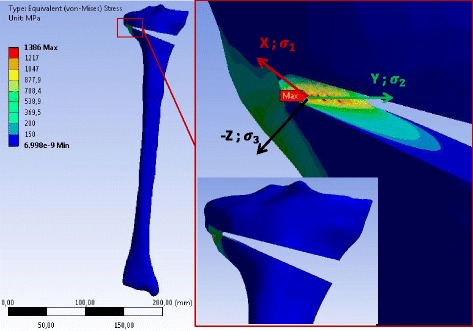 Fig. 10