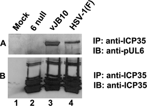 FIG. 8.