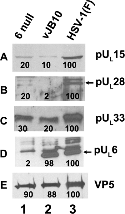 FIG. 9.