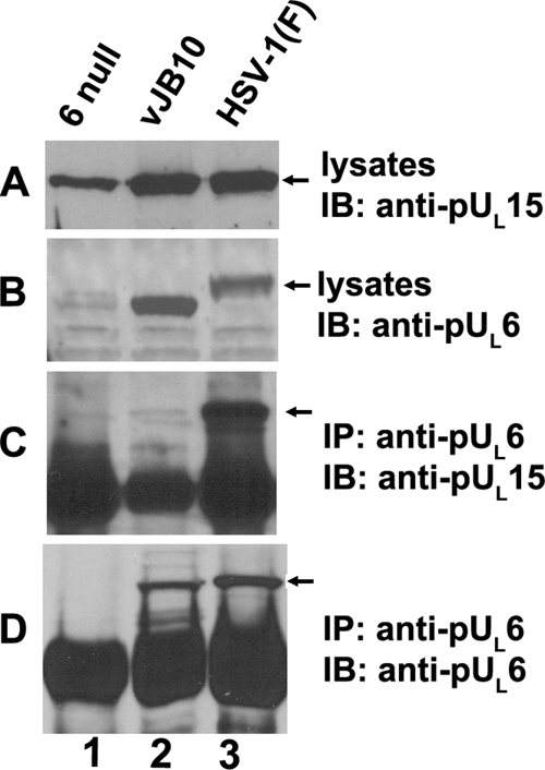 FIG. 6.