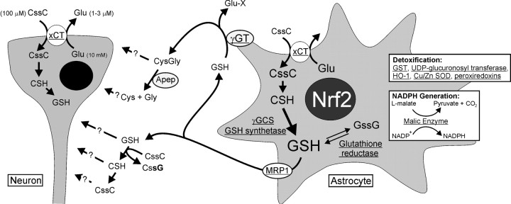 Fig. 9.