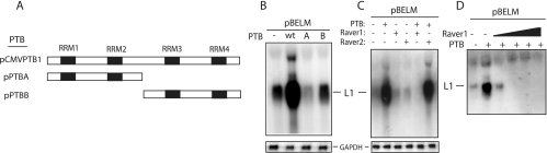 FIG. 9.