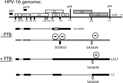 FIG. 10.