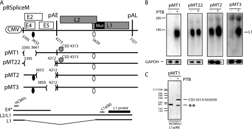 FIG. 8.