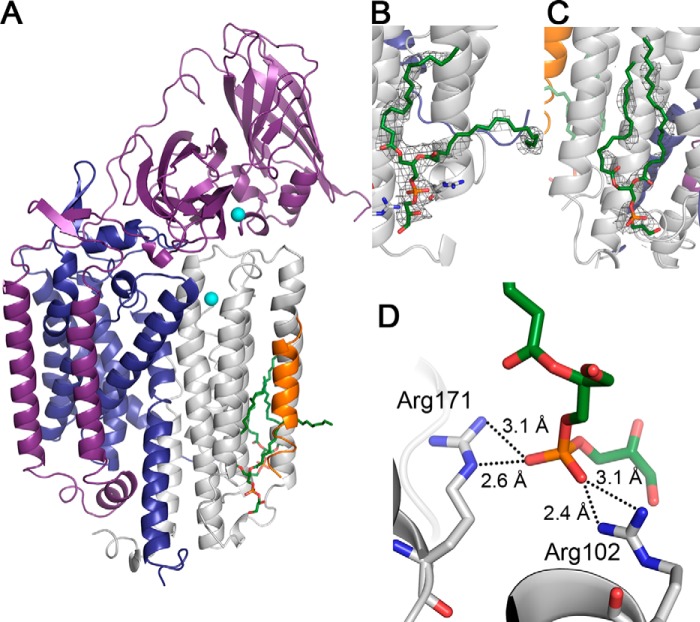 FIGURE 6.