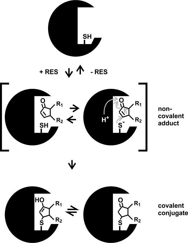 Fig 8