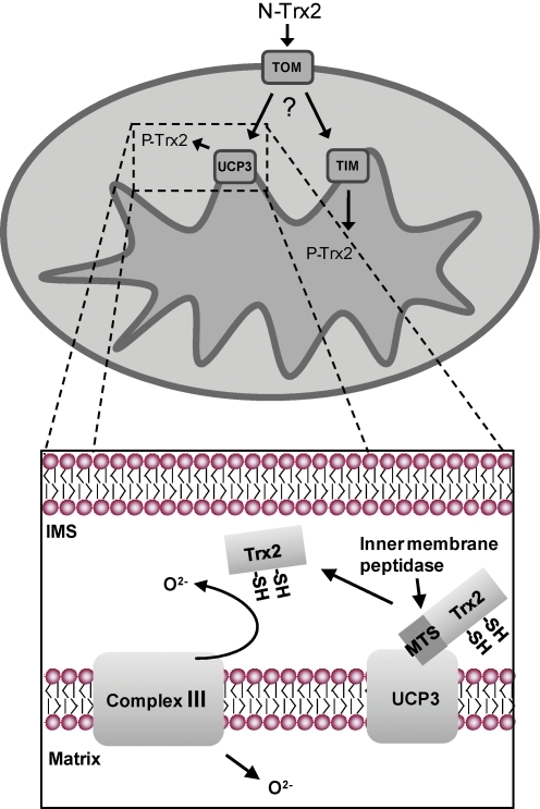 FIG. 9.