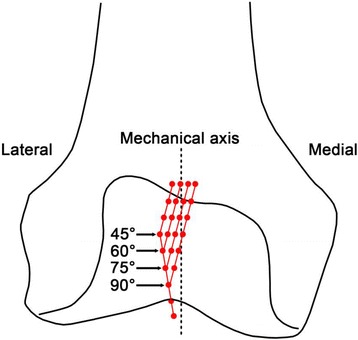 Fig. 2