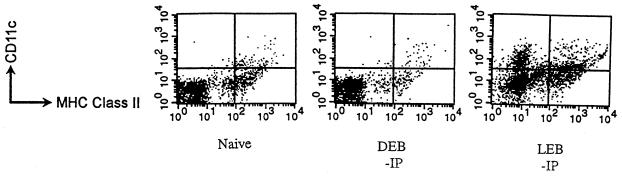 FIG. 7