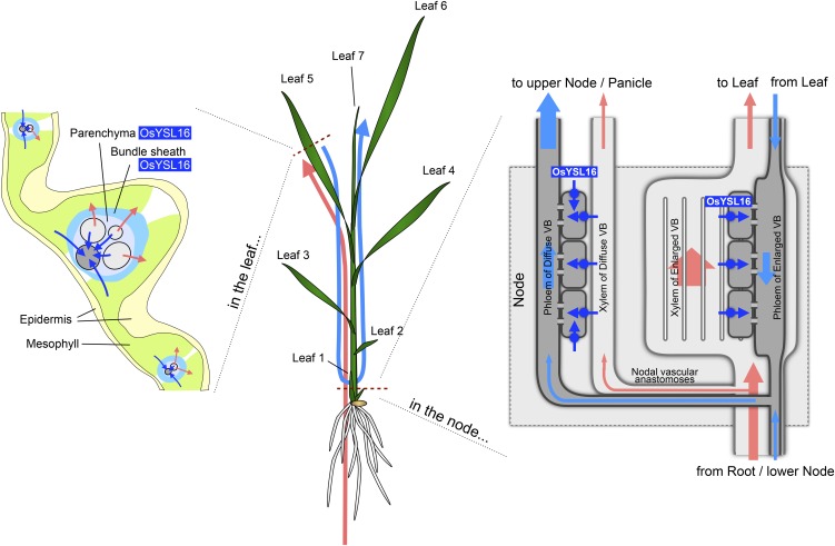 Figure 10.