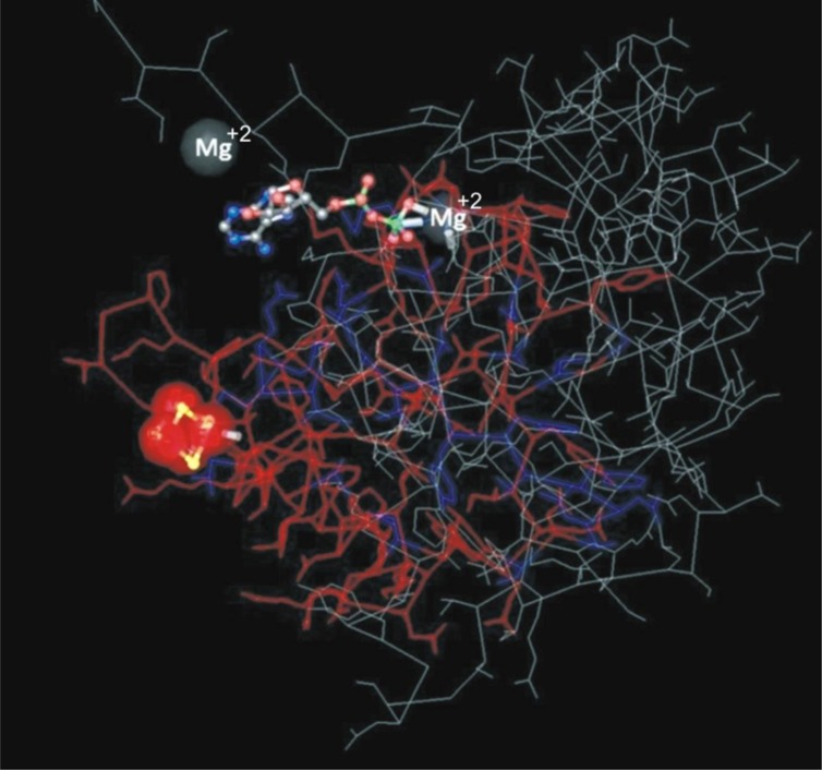 FIGURE 3