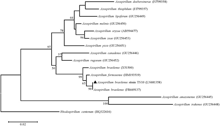 FIGURE 2