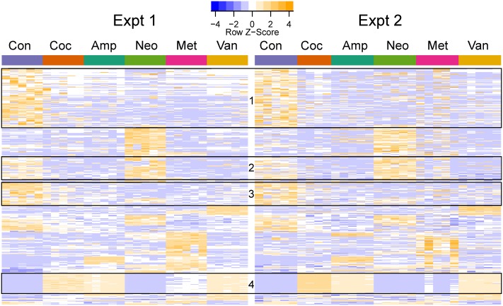 FIGURE 4