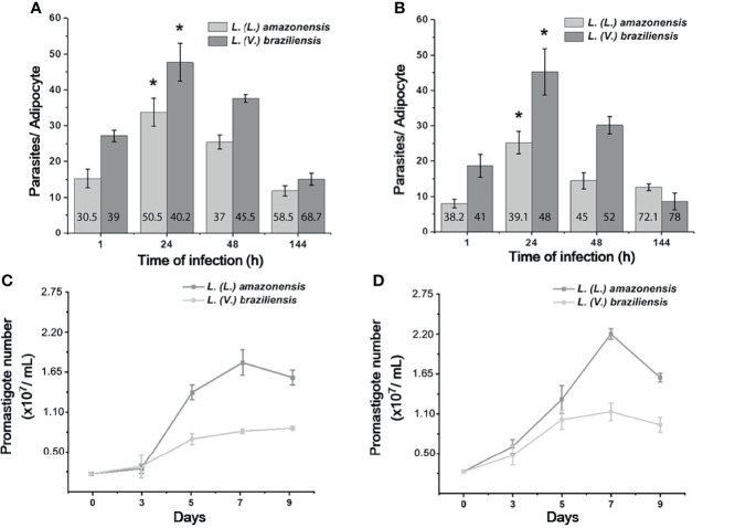 Figure 4