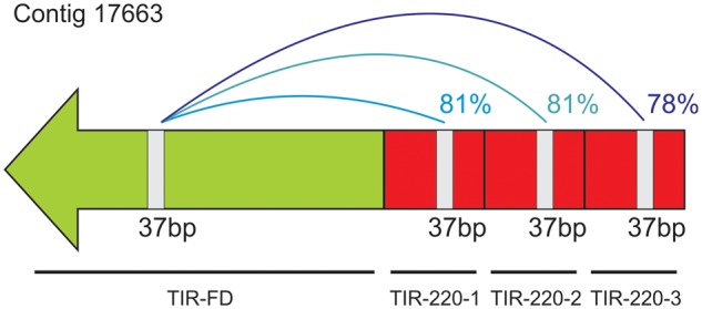 Fig. 6.—