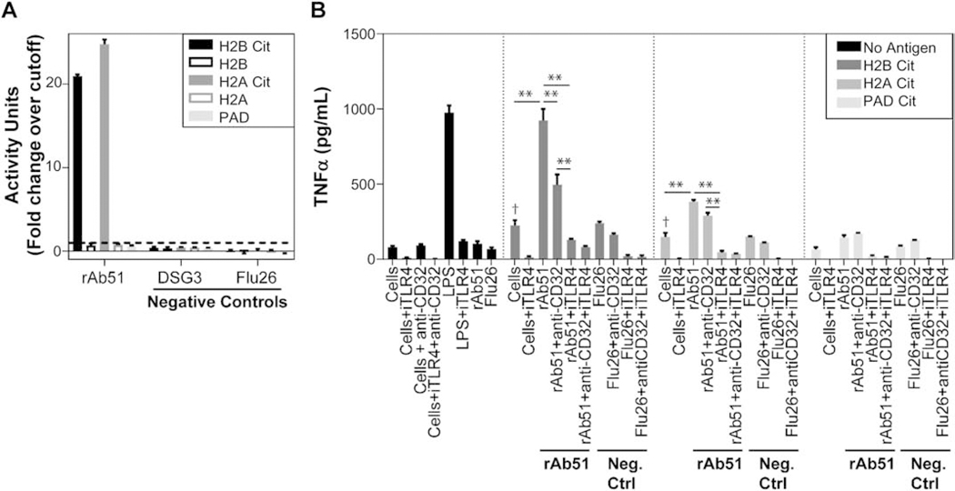 Fig. 6: