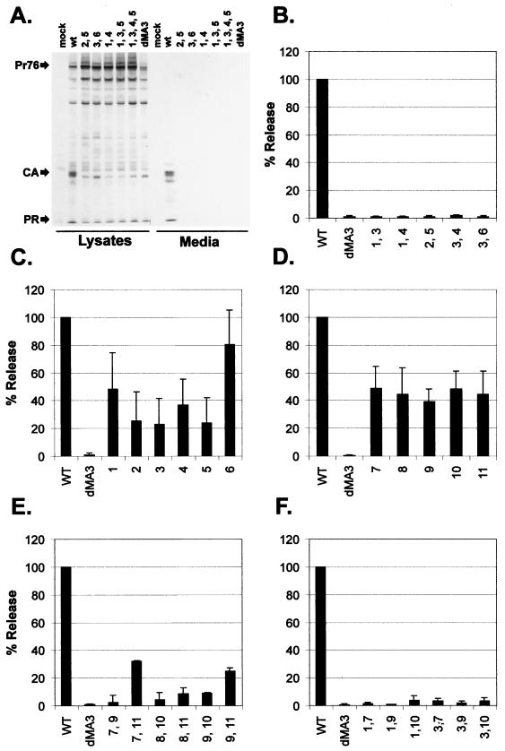 FIG. 3