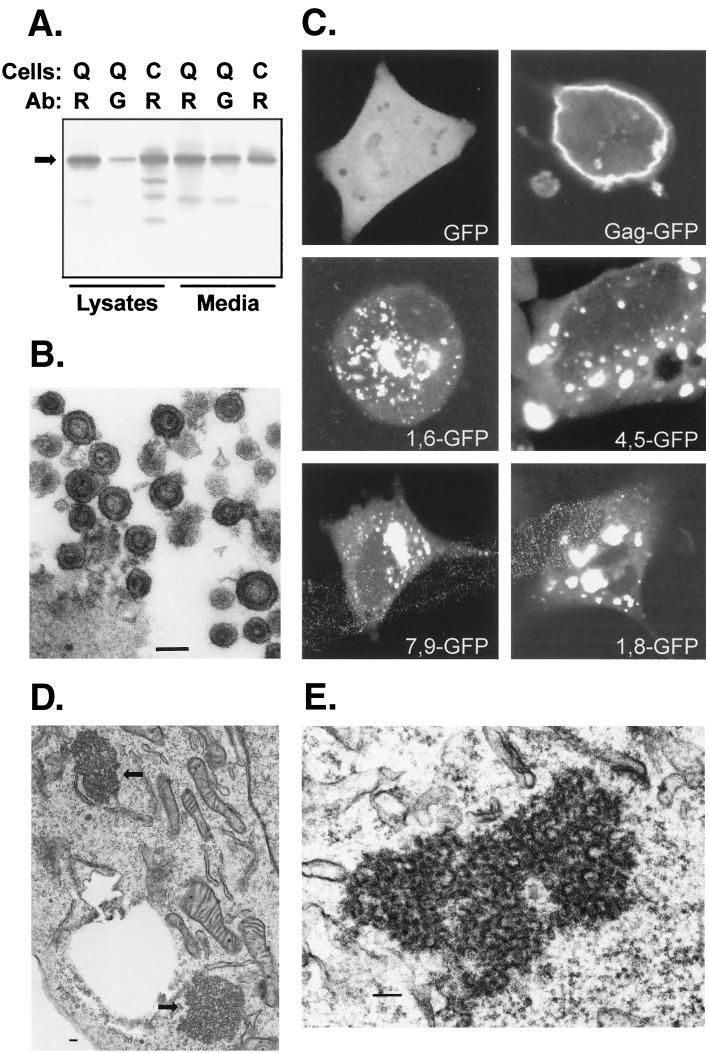 FIG. 4