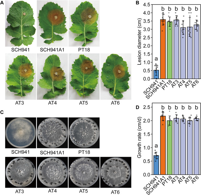 FIG 4