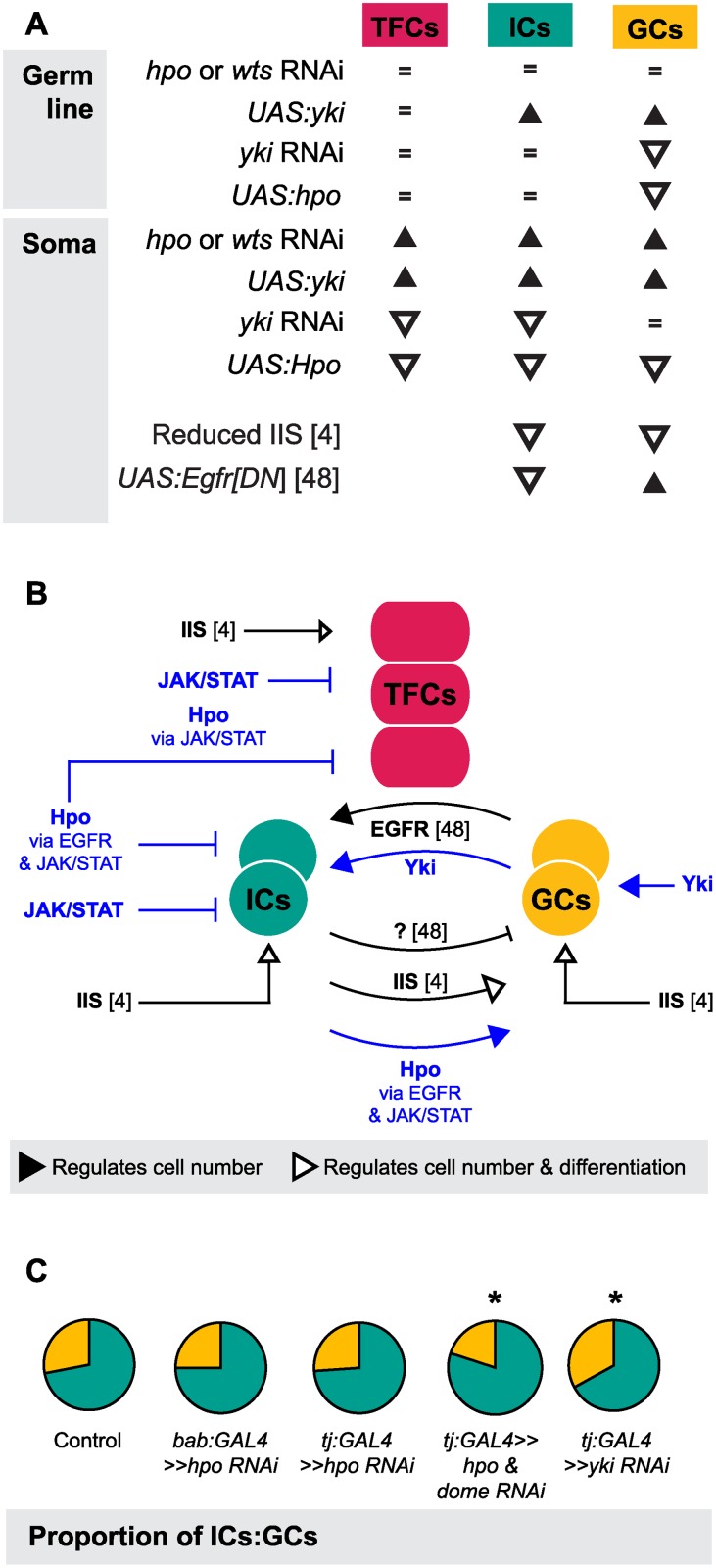 Fig 7