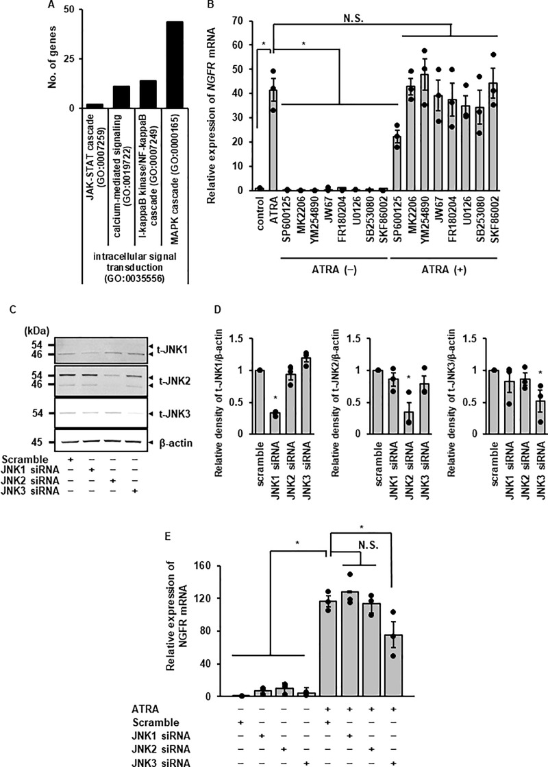 Fig 8