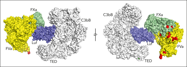 Figure 7.