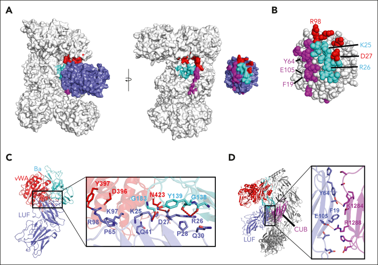 Figure 4.